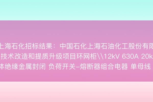 上海石化招标结果：中国石化上海石油化工股份有限公司上海石化全面技术改造和提质升级项目环网柜\12kV 630A 20kA 气体绝缘金属封闭 负荷开关-熔断器组合电器 单母线 馈出回路评标结果公示