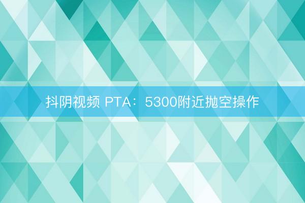 抖阴视频 PTA：5300附近抛空操作