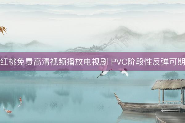 红桃免费高清视频播放电视剧 PVC阶段性反弹可期