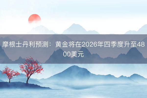 摩根士丹利预测：黄金将在2026年四季度升至4800美元
