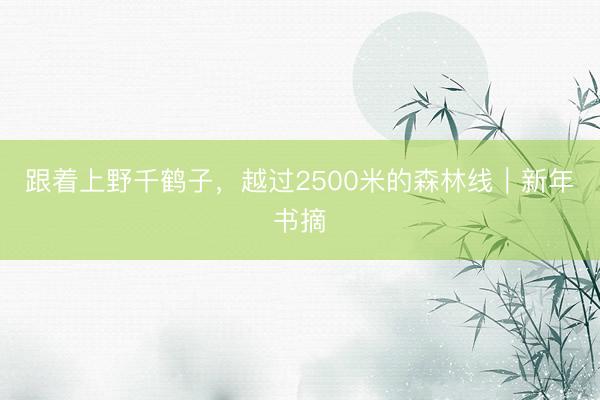 跟着上野千鹤子，越过2500米的森林线｜新年书摘