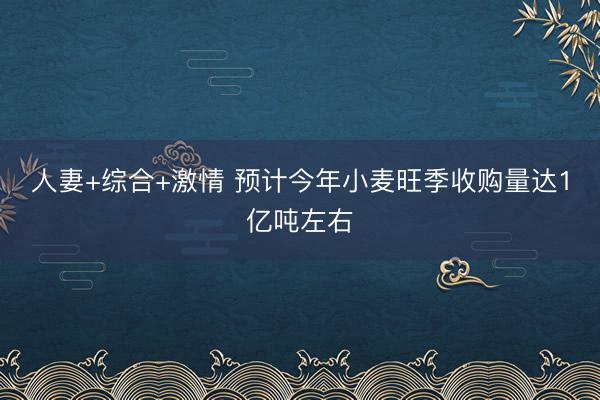 人妻+综合+激情 预计今年小麦旺季收购量达1亿吨左右