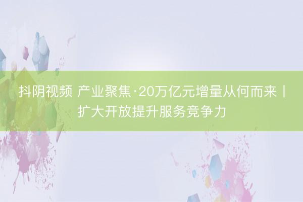 抖阴视频 产业聚焦·20万亿元增量从何而来丨扩大开放提升服务竞争力