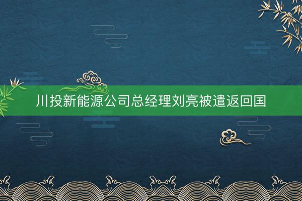 川投新能源公司总经理刘亮被遣返回国