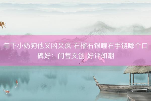 年下小奶狗他又凶又疯 石榴石银曜石手链哪个口碑好：问菩文创 好评如潮
