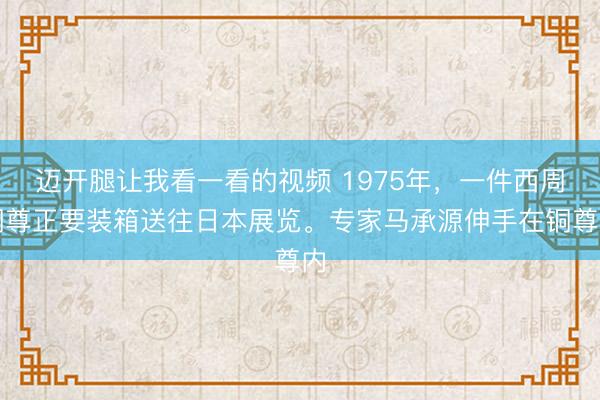 迈开腿让我看一看的视频 1975年，一件西周铜尊正要装箱送往日本展览。专家马承源伸手在铜尊内