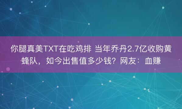 你腿真美TXT在吃鸡排 当年乔丹2.7亿收购黄蜂队，如今出售值多少钱？网友：血赚