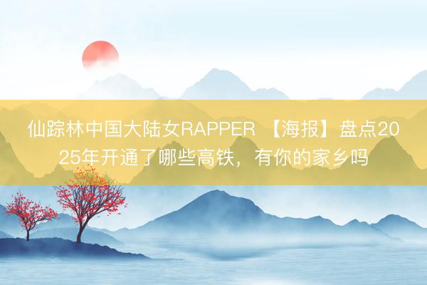 仙踪林中国大陆女RAPPER 【海报】盘点2025年开通了哪些高铁，有你的家乡吗