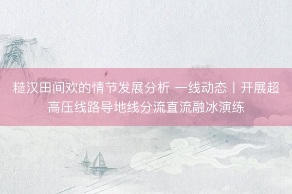 糙汉田间欢的情节发展分析 一线动态丨开展超高压线路导地线分流直流融冰演练
