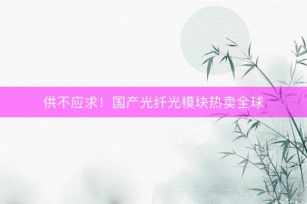 供不应求！国产光纤光模块热卖全球