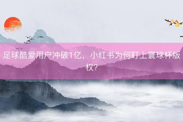 足球酷爱用户冲破1亿,小红书为何盯上寰球杯版权?