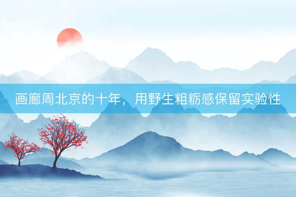 画廊周北京的十年，用野生粗粝感保留实验性