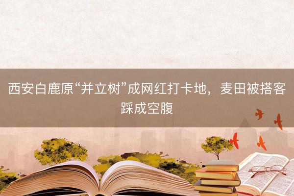 西安白鹿原“并立树”成网红打卡地，麦田被搭客踩成空腹