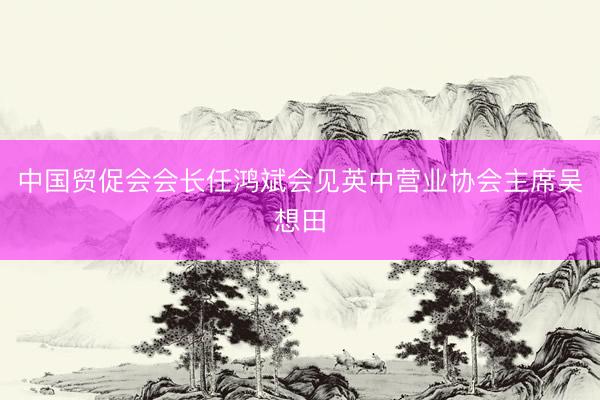 中国贸促会会长任鸿斌会见英中营业协会主席吴想田