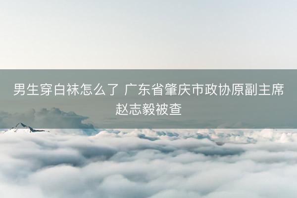男生穿白袜怎么了 广东省肇庆市政协原副主席赵志毅被查