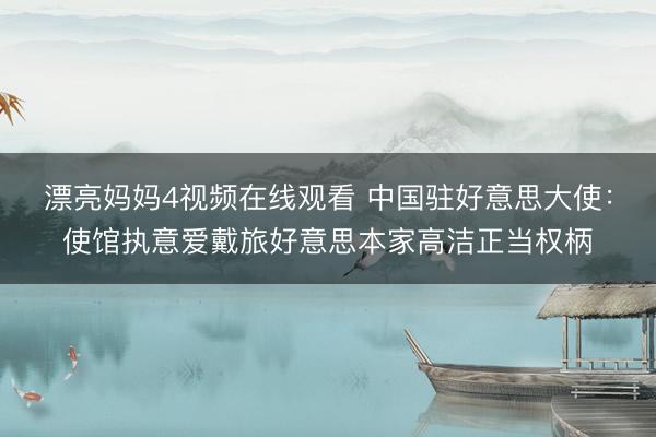 漂亮妈妈4视频在线观看 中国驻好意思大使：使馆执意爱戴旅好意思本家高洁正当权柄