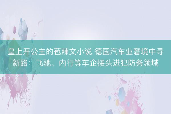 皇上开公主的苞辣文小说 德国汽车业窘境中寻新路：飞驰、内行等车企接头进犯防务领域