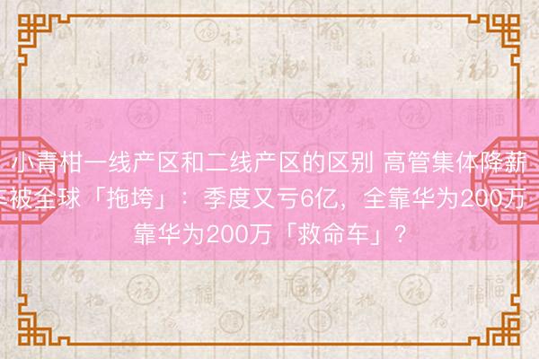小青柑一线产区和二线产区的区别 高管集体降薪！ 江淮汽车被全球「拖垮」：季度又亏6亿，全靠华为200万「救命车」？