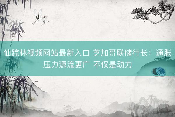 仙踪林视频网站最新入口 芝加哥联储行长：通胀压力源流更广 不仅是动力