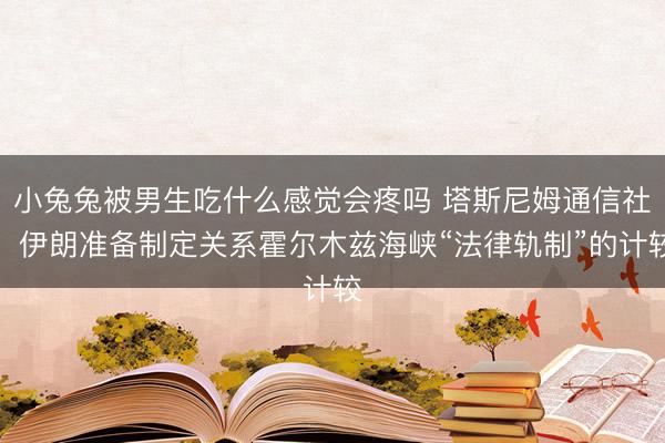 小兔兔被男生吃什么感觉会疼吗 塔斯尼姆通信社：伊朗准备制定关系霍尔木兹海峡“法律轨制”的计较