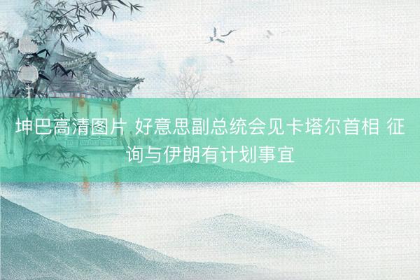 坤巴高清图片 好意思副总统会见卡塔尔首相 征询与伊朗有计划事宜