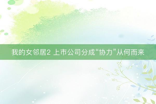 我的女邻居2 上市公司分成“协力”从何而来