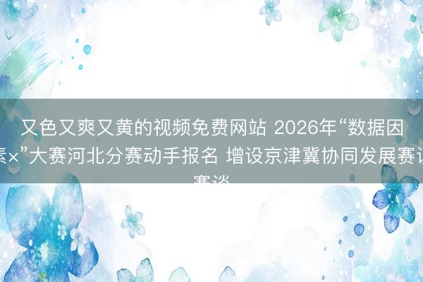 又色又爽又黄的视频免费网站 2026年“数据因素×”大赛河北分赛动手报名 增设京津冀协同发展赛谈