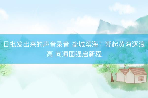 日批发出来的声音录音 盐城滨海：潮起黄海逐浪高 向海图强启新程