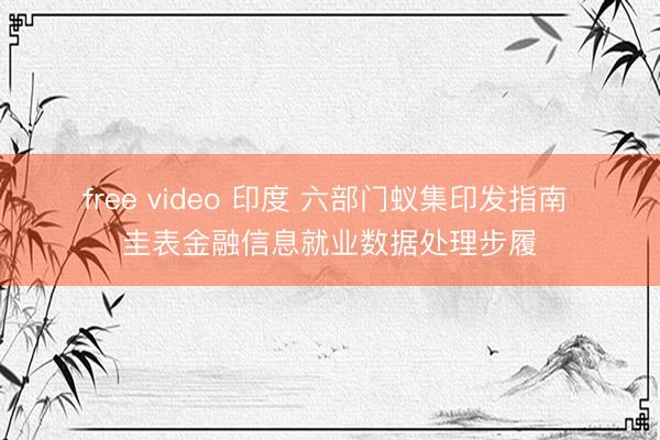 free video 印度 六部门蚁集印发指南 圭表金融信息就业数据处理步履