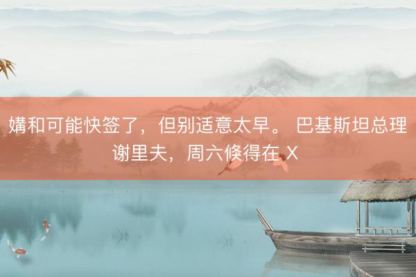 媾和可能快签了，但别适意太早。 巴基斯坦总理谢里夫，周六倏得在 X 