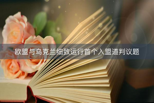 欧盟与乌克兰细致运行首个入盟道判议题