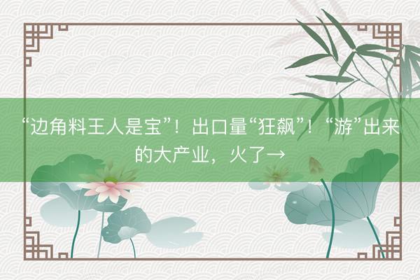 “边角料王人是宝”！出口量“狂飙”！“游”出来的大产业，火了→