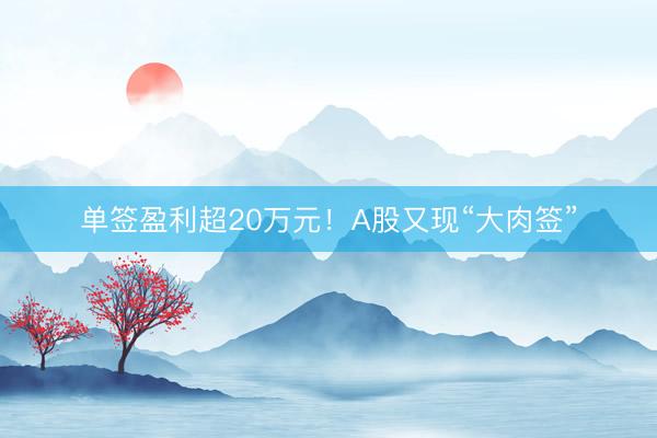 单签盈利超20万元！A股又现“大肉签”